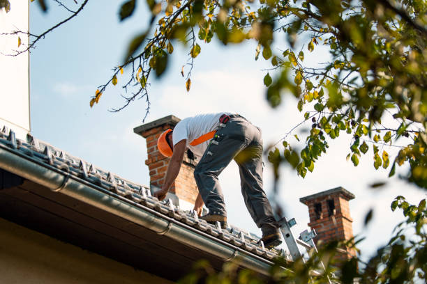 Quick and Trustworthy Emergency Roof Repair Services in Fraser, MI