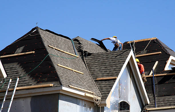 Best Roof Leak Repair  in Fraser, MI