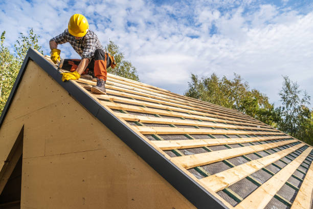 Best Roofing Contractor Near Me  in Fraser, MI