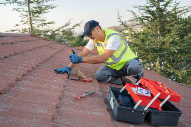 Best Roof Restoration Services  in Fraser, MI