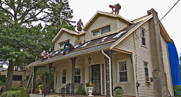 Best Affordable Roofing Company  in Fraser, MI
