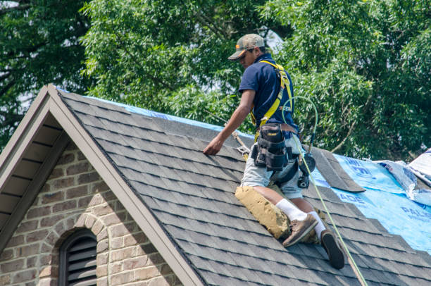 Best Commercial Roofing Services  in Fraser, MI